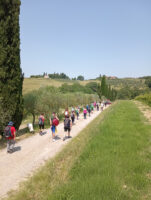 Se mi aiuti vengo anch’io - Ass. Camminando a Quercegrossa, Filiderba, Spazio dirSI, CAI Sez. di Siena, SiVa Nordic Walking Siena, UISP Sport per tutti Comitato Territoriale Siena, Sesto Senso ONLUS, ARCI Siena, Avis Walking Taverne e Arbia, Costone Ricreatorio Pio II Sez. Baskin, Si Cammina, Futura Firenze e Coop. Soc. Solidarietà e Riuscita Sociale, Alberi Siena, Croce Rossa Italiana di Bagni di Lucca (Toscana)