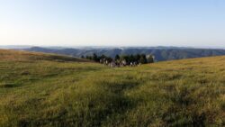 Dal tramonto alle stelle - Riserva Naturale Statale Gola del Furlo (Marche)