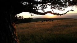 Dal tramonto alle stelle - Riserva Naturale Statale Gola del Furlo (Marche)